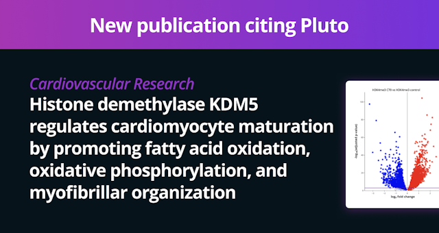 New publication: Histone demethylase KDM5 in cardiomyocyte maturation