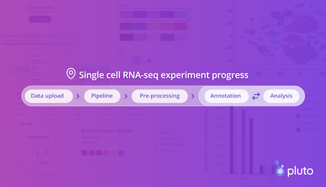 Announcing end-to-end single cell RNA-seq analysis in Pluto